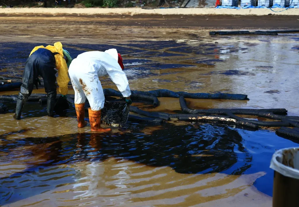 Lessons from Past Gulf Coast Environmental Disasters